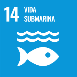 ODS 14 — Vida submarina