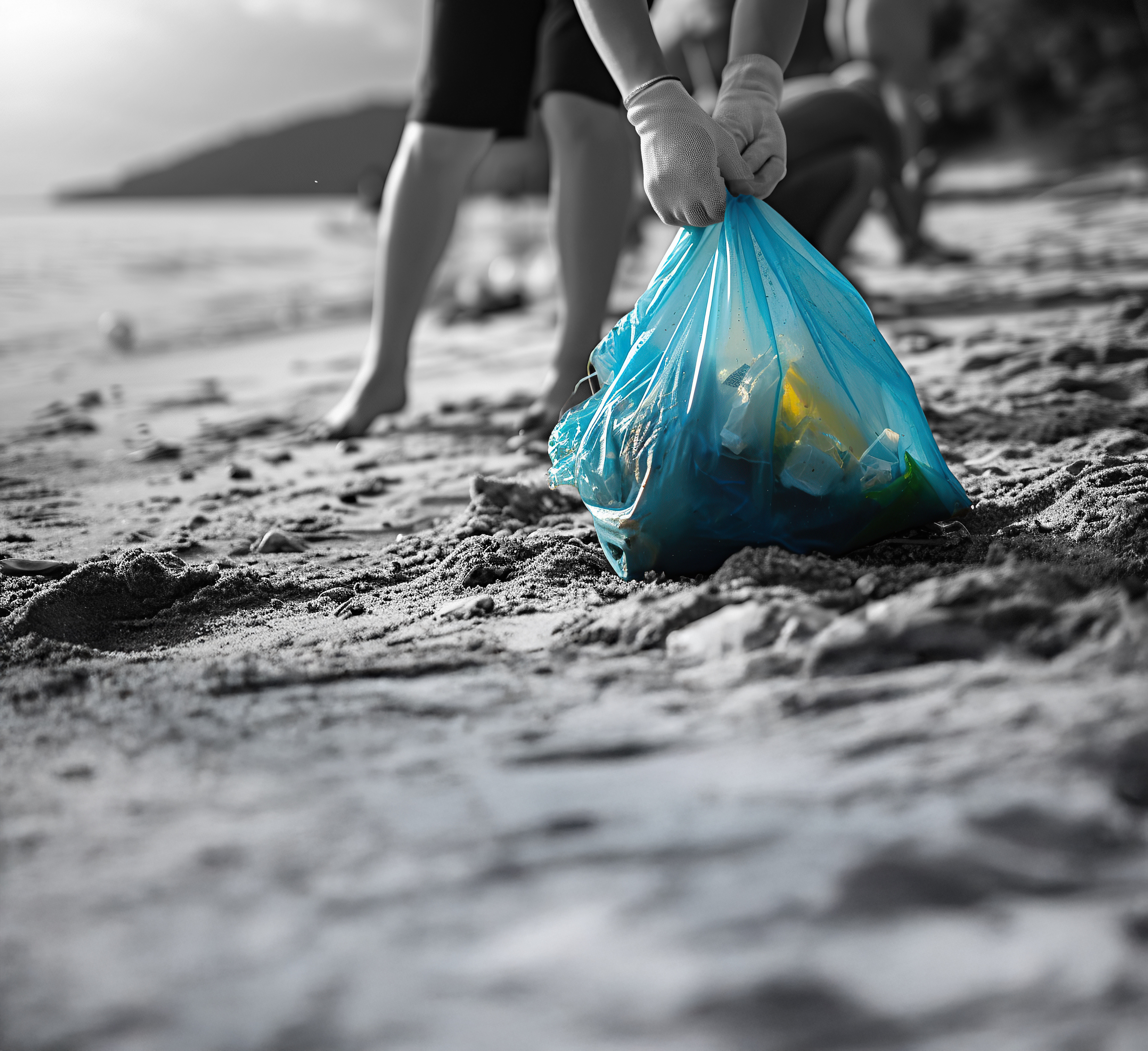 Limpieza de playas con la comunidad — Ecoplayas